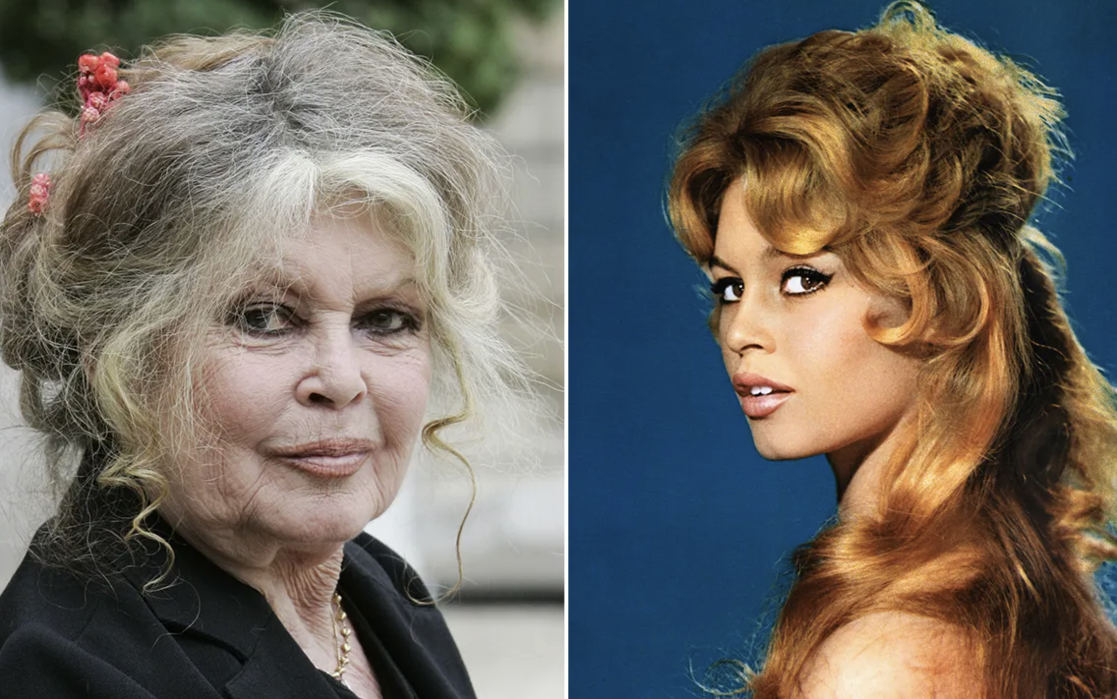 Brigitte Bardot, French Film Legend and Global Icon, Dies at 91