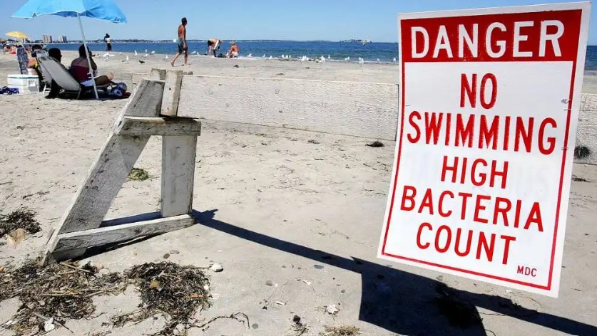 Fecal Bacteria Found at East Coast Beaches as ‘Do Not Swim’ Warnings Issued
