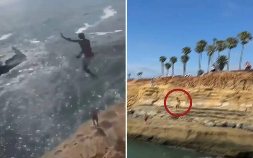 Horror as Teen Miscalculates Cliff Jump and Slams Into Jagged Rocks (Video)