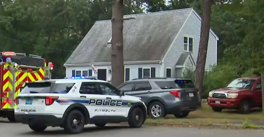 Woman Killed in Freak Accident After Wind Sends Tree Crashing onto Her Porch